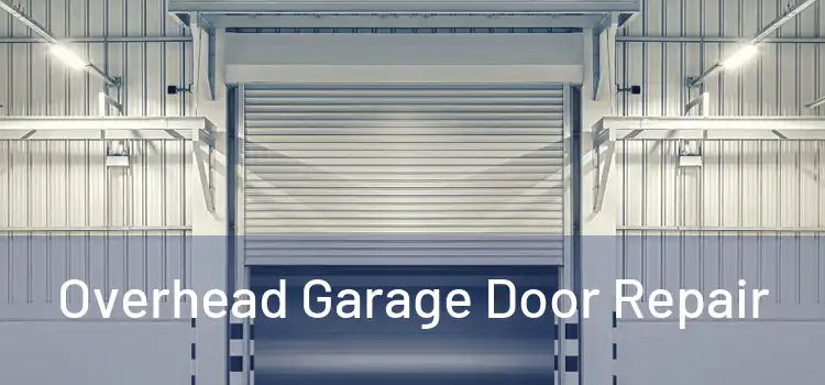 Overhead Garage Door Repair
